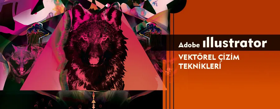 Foto: illustrator-egitimi