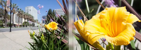 Photoshop ile Fotoğrafları Büyütmek Photoshop ile Fotoğrafları Büyütmek